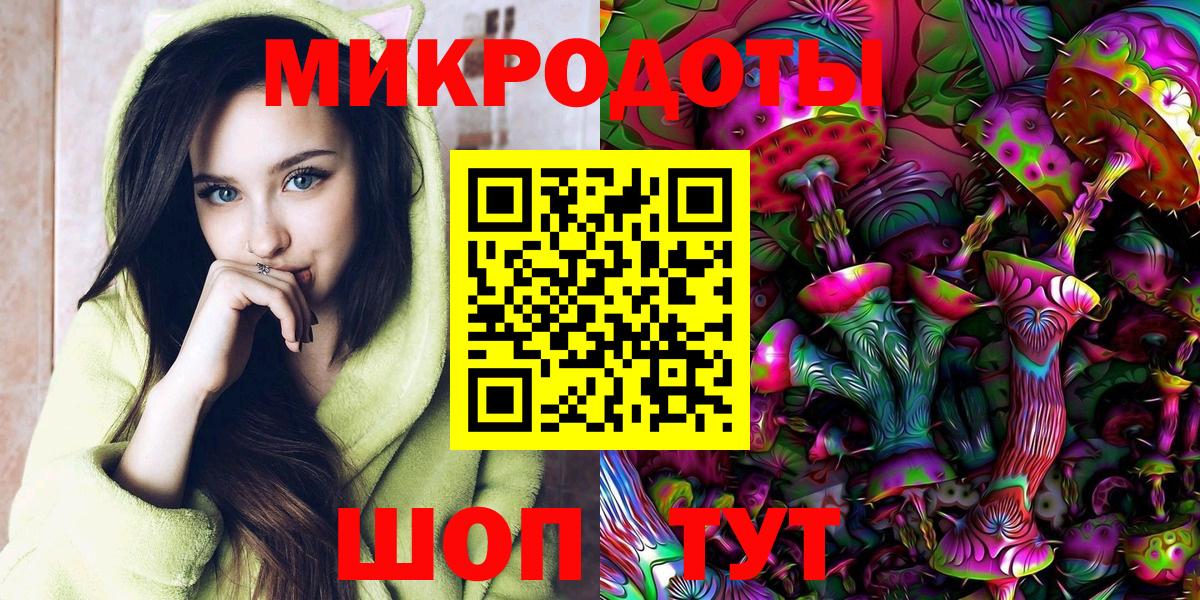 Псилоцибиновые грибы Cubensis Иваново