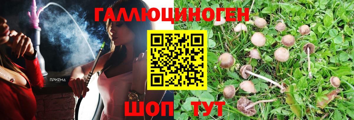Иваново  Псилоцибиновые грибы Magic Shrooms  Вход с VPN  Псилоцибиновые грибы мухоморы 